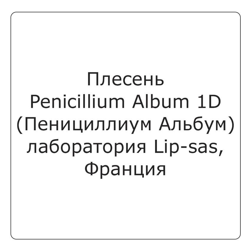 Плесень Penicillium Album (Пенициллиум Альбум) (1D) 